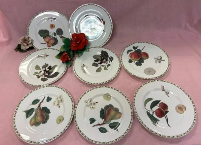 NEW-8of set.   Queens Royal Horticultural Society Hookers Fruit Dinner Plates”