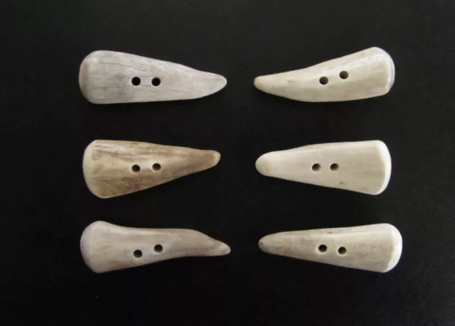 Antler Buttons,2" Toggles,Tines,Crafts,6 Unique Chubby Wide Pieces,200-7