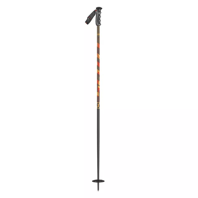 Batons De Ski Team Issue Black