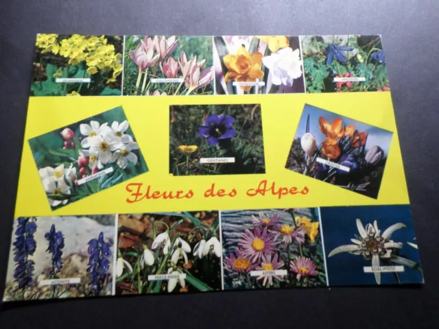 CP Flores, Flores De Alpes, VF Tarjeta Postal, Flowers