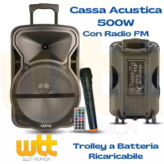 Cassa amplificata bluetooth portatile karaoke professionale attiva con microfono