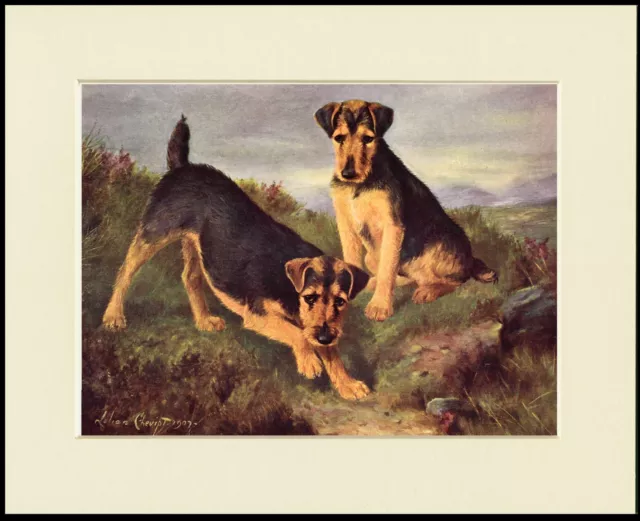 Welsh Terrier Dogs Lovely Dog Print Mounted Ready To Frame