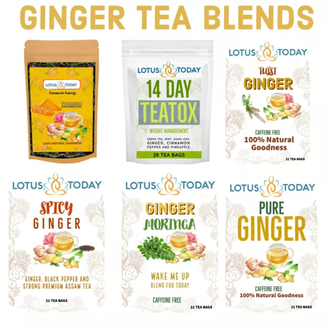 Lotustoday Organic Ginger Herbal Tea, Immunity, Detox, Wellness, Ginger Blends