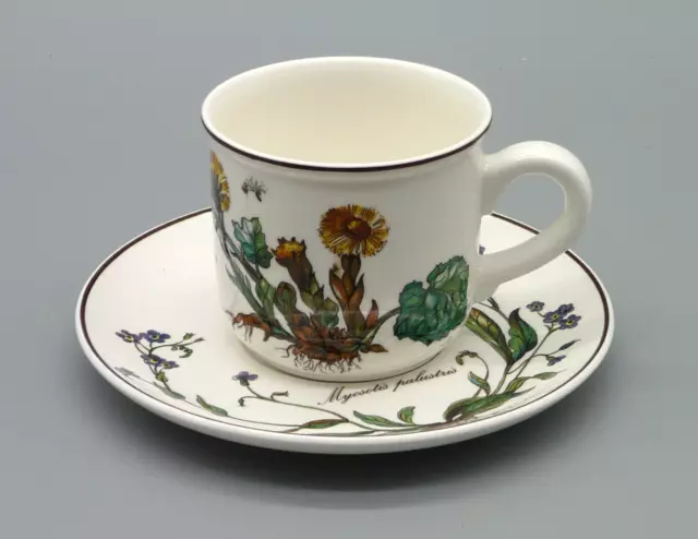 Villeroy & Boch Botanica Gedeck 2-teilig Tasse und Untertasse - guter Zustand