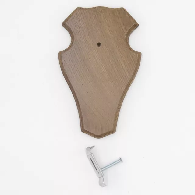 1 Pieza Ciervo Escudo de Trofeo Romo Pequeño Braun Af 19CM X 11CM Con 1x Pinza