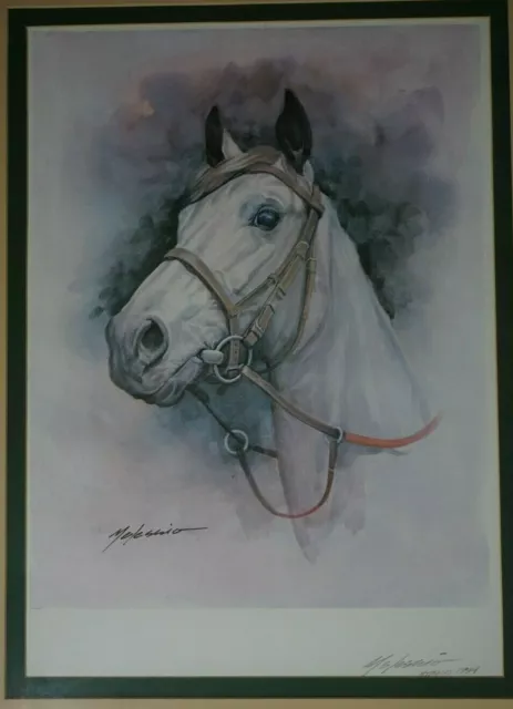 Art Print, horse head, Armando Melessio Rivas, Mexican signed, framed, 20x25