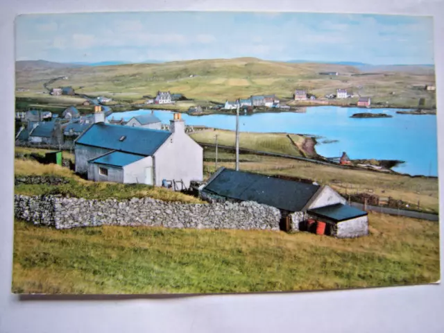 Postcard. WALLS. Shetland. View of village. R.P. Unused. VG+.
