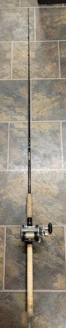 Abu Garcia Silver  6'6 40 LB Line Saltwater Rod 100% Graphite+ Penn 320 GTi Reel