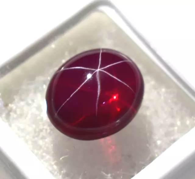 Loose Gemstone Natural 6 Rays Red Star Ruby 8-10 Ct Oval Cabochon