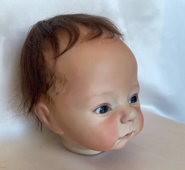 19" Munchkin Porcelain Doll Head By Dianna Effner-2006 3