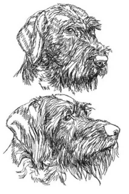 German Wirehaired Pointer Personalized Embroidered Fleece Stadium Blanket Gift