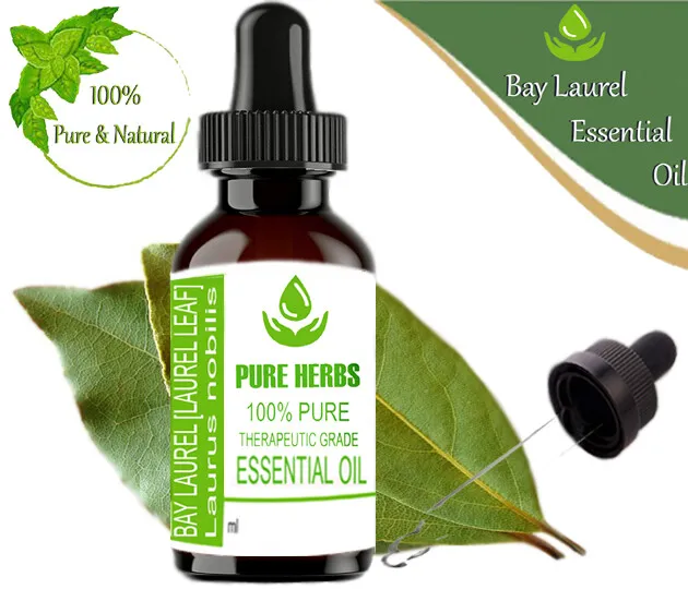 Pure Herbs Bay Laurel Leaf 100% Natural Laurus Nobilis Essential Oil