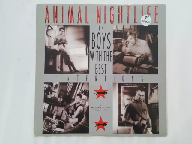 Animal Nightlife – Boys With The Best Intentions - TEN T 185 Vinyl  12"