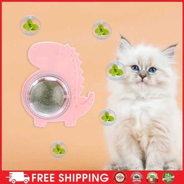 Dinosauro gatto dolci deliziosi snack girevoli menta gatto giocattolo Hausti