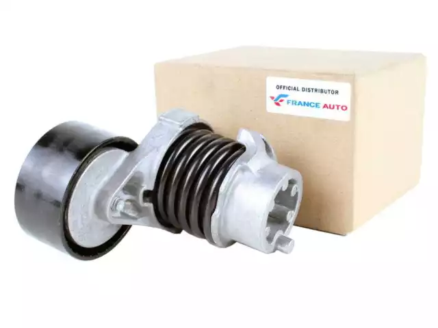 Poulie-tendeur de Courroie Trapézoïdale à Nervures Dacia Renault 0.9 1.2 TCE