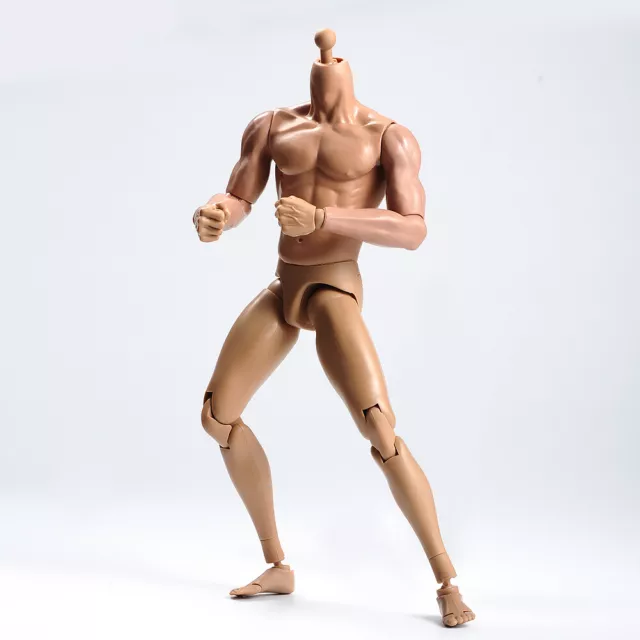 Jiaoudoll Jiaou Doll 1/6 Figure Bodybuilding Muscle Male Body - Action  Figures - AliExpress