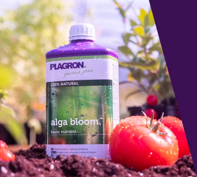 Plagron Alga Terra Grow Bloom Green Sensation Power Roots Sugay Royal 1 L Dünger