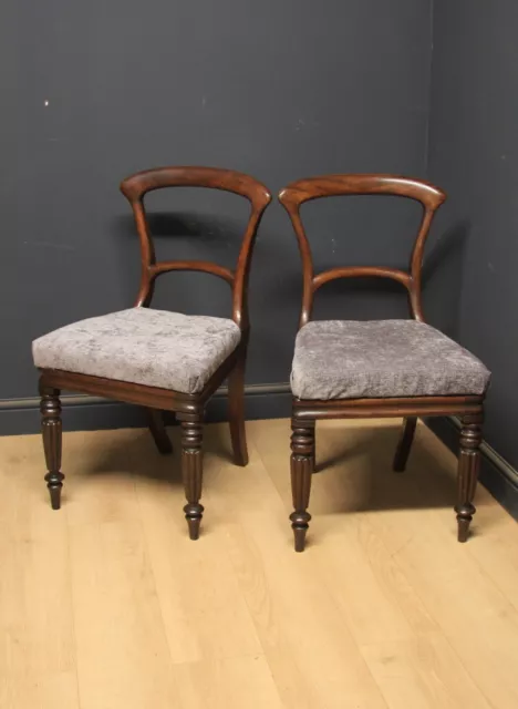 Antique Pair of William IV Mahogany Chairs