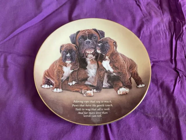 Danbury Mint Boxer Dog "Adoring Eyes" Limited-Edition Plate Cherished Boxers