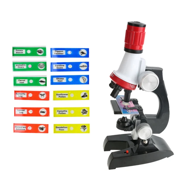 Ninyoon 48 Pièces Microscope Diapositives Avec Spécimens Pour Enfants