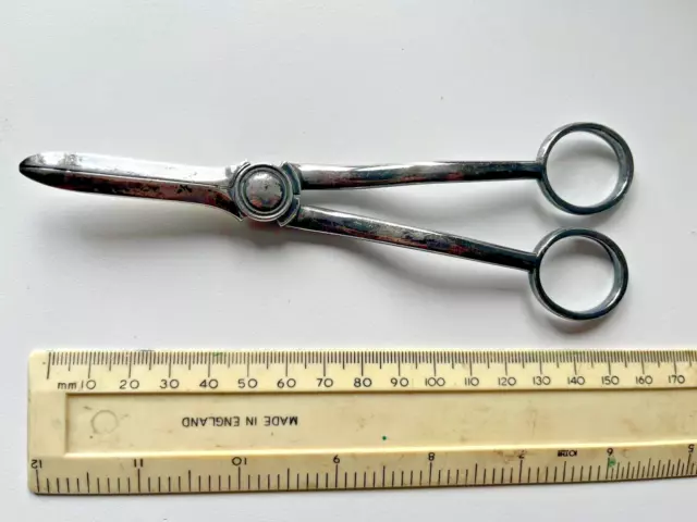 Antique silver plated grape scissors