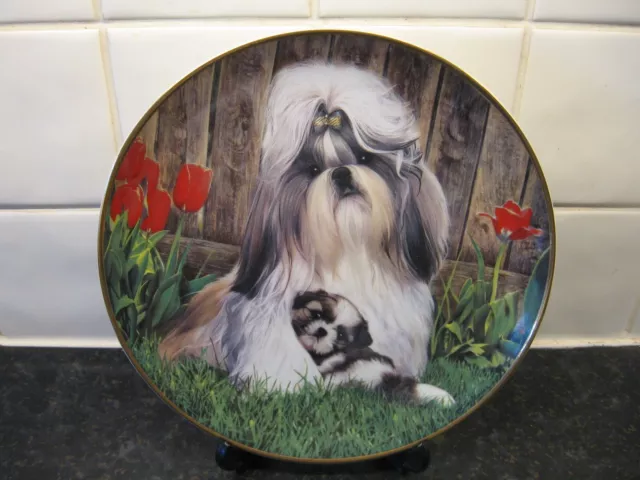 Shih Tzus Dog    Plate -   Safe And Sound    - Danbury Mint