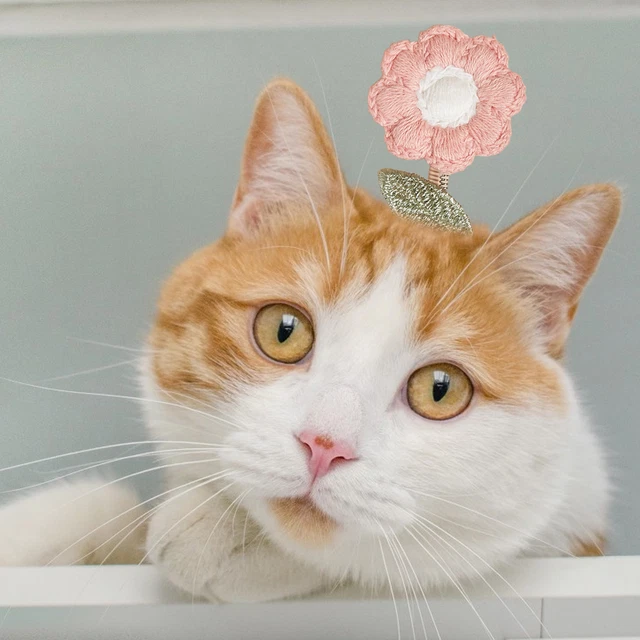 Alfiler para el pelo de mascota dulce decorativo en forma de flor pasador para el pelo de gato dibujos animados