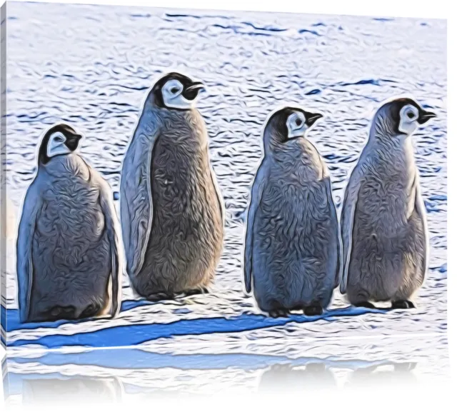 Cuatro Polluelo de Pingüino Emperador Foto en Lienzo Decoración Pared Impresión