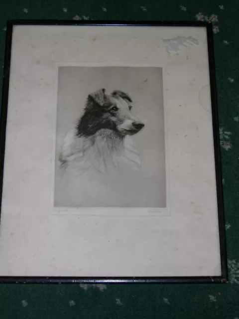 Large Antique Shetland Sheepdog Dog Etching 1930 Signed H. Goffey "On Guard"