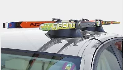 Porte Ski Magnetique Pour 2 Paire De Skis Fabbri Ellisse Skoda