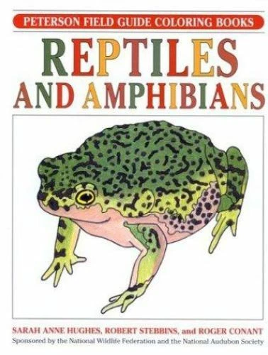 Coloring Book With Reptiles And Amphibians Vector Ima - vrogue.co
