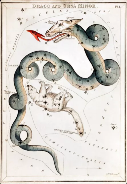 11306.Decor Poster.Home room Wall art.Astrology.Mythology.Horoscope.Draco.Snake