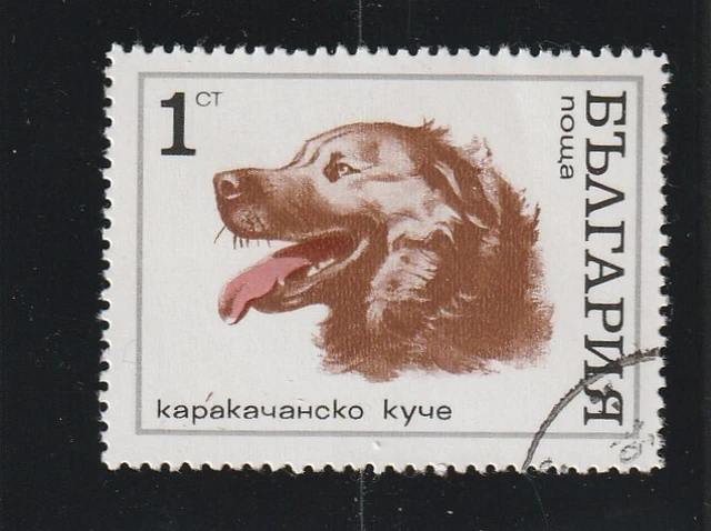 L5904 BULGARIE TIMBRE Y&T N° 1799 de 1970 " Berger " Oblitéré