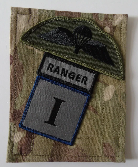 British Ranger 1 BRITISH ARMY 1ST Battalion Ranger Regiment MTP/Blanking Panel/Para ...