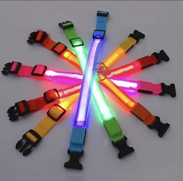 Collier de chien lumineux LED Réglable. Vendu en lots de 2 2