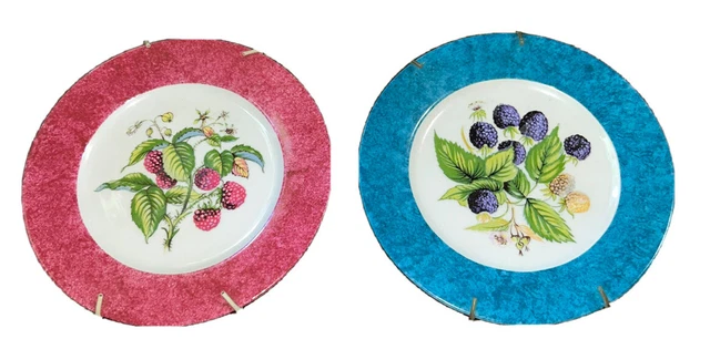 Laure Japy Blueberries And Raspberries Plates
