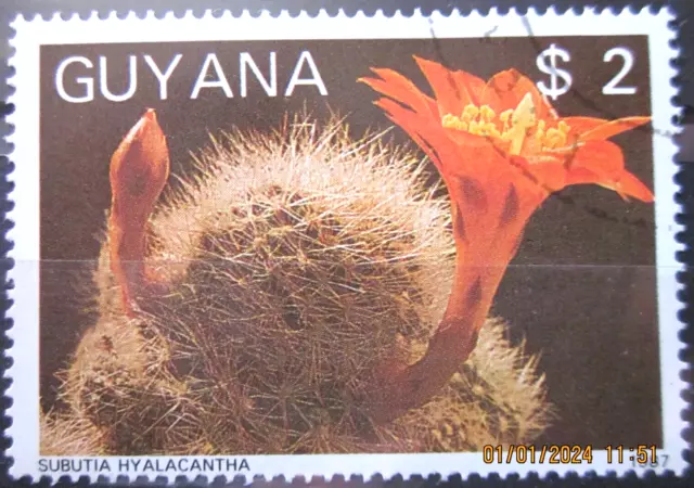 Guyana ~ 1988 ~ Cacti ~ Vfu #03296