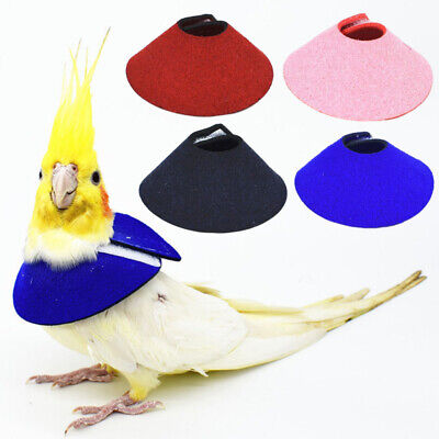 Capa de Pájaro Protección de Loro Cono Cuello Recuperación Cuello Pájaro Cuello Para Pájaros Talla S/M/L