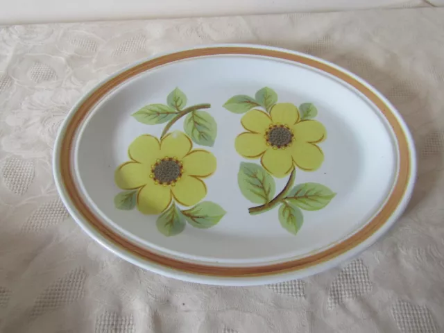 Royal Doulton Lambeth Stoneware Summer Days Design Oval Serving Plate 34cm x 26c