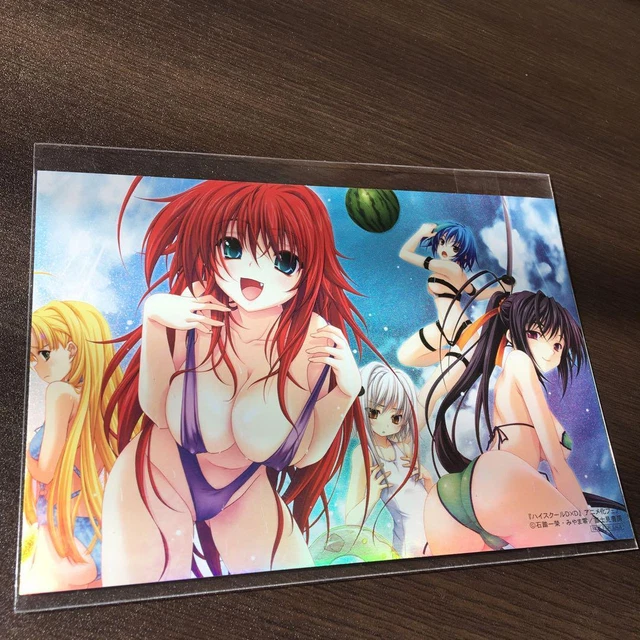 HIGH SCHOOL DXD Rias Gremory Akeno Himejima Xenovia Swimsuit Bikini ...