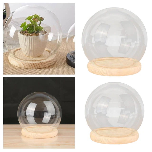 VITRINE DE GLOBE en verre, dôme en verre, Cloche, pour objets de