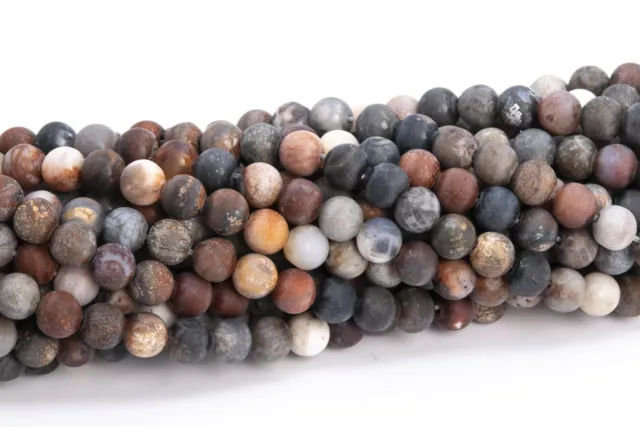 Natural Matte Multicolor Coral Fossil Jasper Grade AAA Round Beads 4-5/6/8/10MM