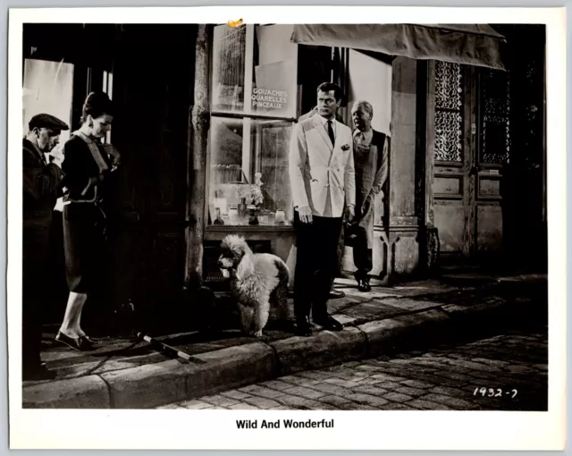 Movie still WILD AND WONDERFUL Tony Curtis, C Kaufmann 1964 8 x 10