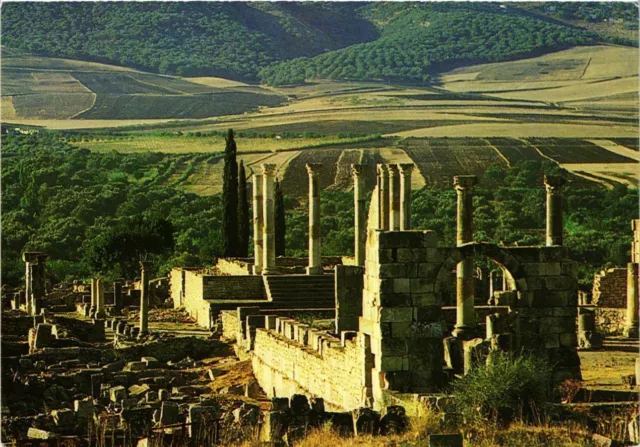 CPM AK MAROC VOLUBILIS-Basilique et le Capitol (342964)