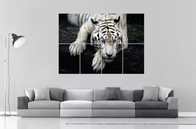 Bianca Tiger Tigre Home Decorazione Wall Arte locandina Grande Formato A0 Stampa