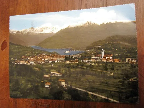 Vendo Cartolina postcard cartoline Lago d'Orta Panorama di Pogno vetta Mottarone