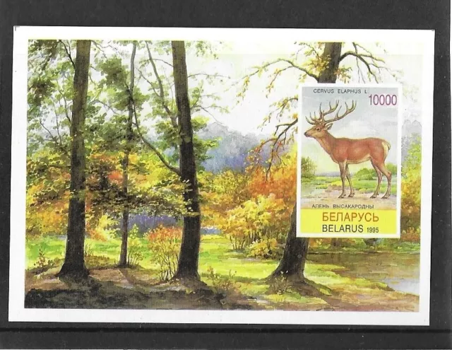 Belarus 1995 MNH Nature Protection - Red Deer Imperf MS 131