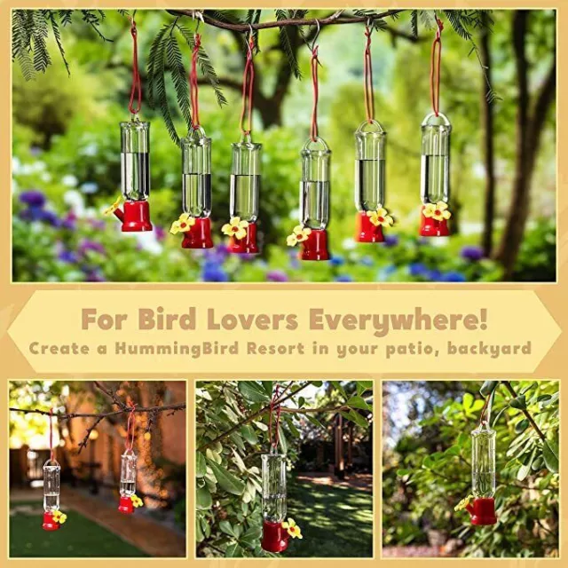 JOIEDOMI Set of 6 Mini Transparent Humming Bird Feeder with Cleaning Brush Yard