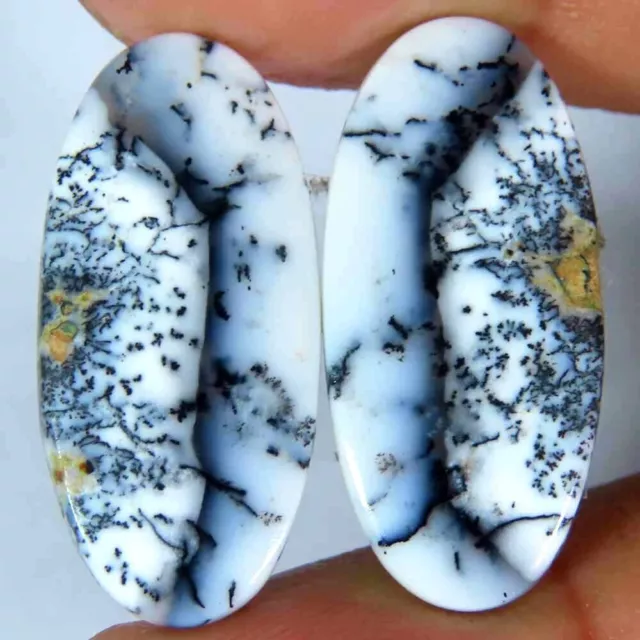 20.10Cts.100%Natural Designer Dendrite Opal Oval Pair Cab 12x25x3mm Top Gemstone