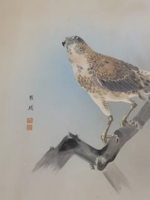 Nice old Vintage Asian Antique Chinese Hawk bird watercolor painting rare